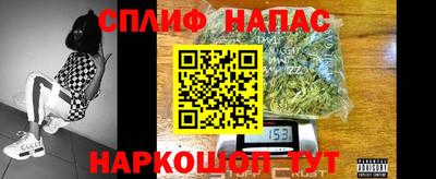 шишки Обнинск