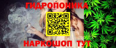шишки Обнинск