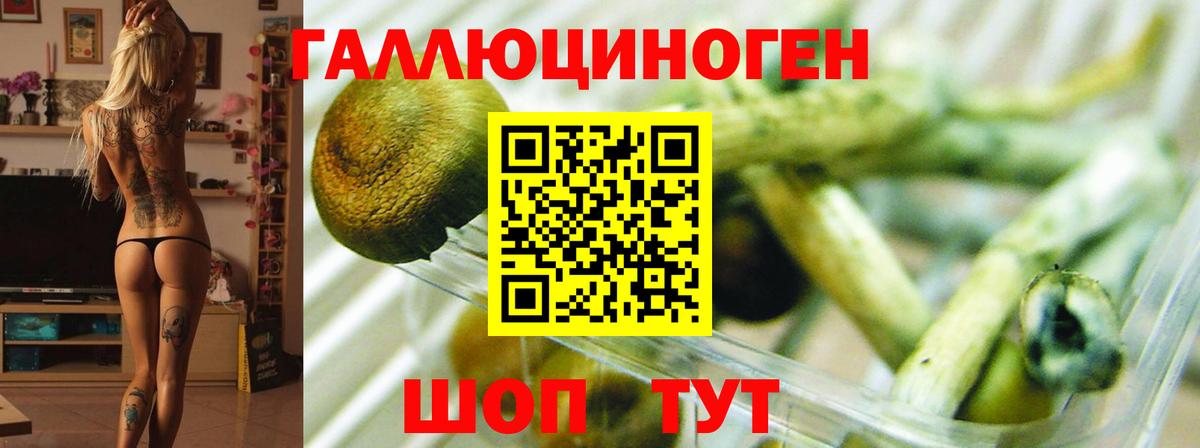 Сердобск  Галлюциногенные грибы MAGIC MUSHROOMS  Галлюциногенные грибы Psilocybine cubensis  Вход с VPN 